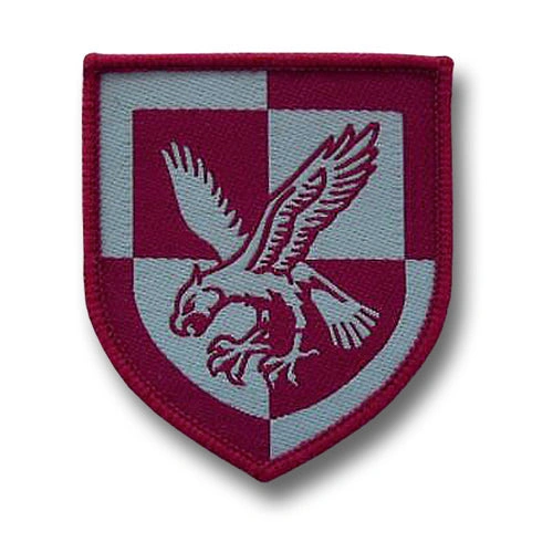 16 AIR ASSAULT: Fíochmhaireacht Aerbheirthe. Ómós don ghaiscíoch. Bratach cumhachta!
